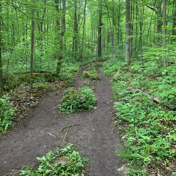 Black long sleeve mini dress with sequins. Worn once for a few hours. - Picture 3 of 3